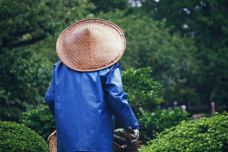 Shared Gardening
